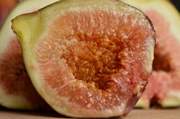 Fig